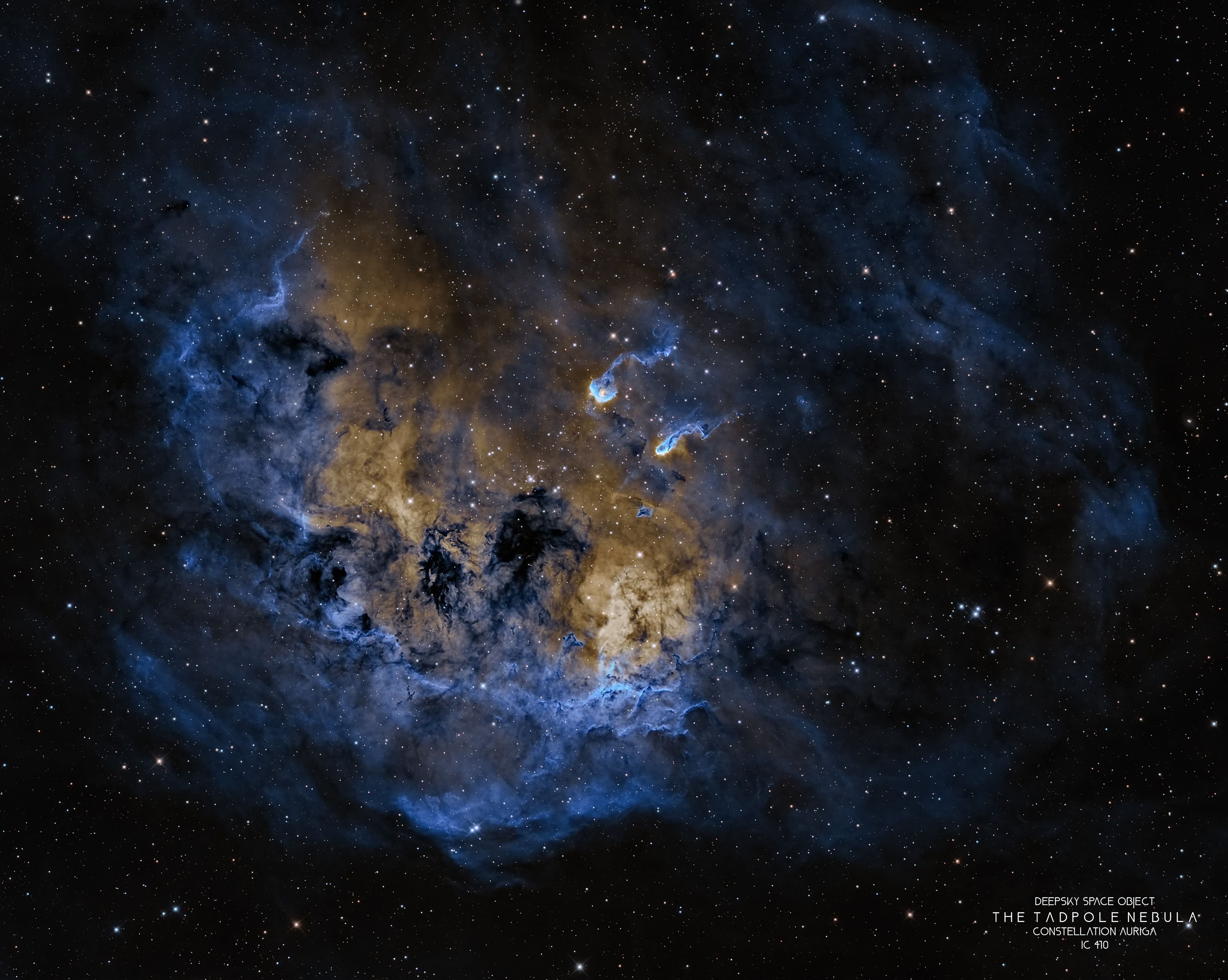 TadpoleNebula IC410 SIIhAhA RemoteTelescope 1665mm V1 web3900
